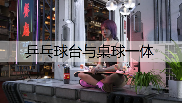 乒乓球台与桌球一体