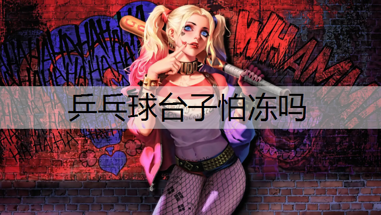 乒乓球台子怕冻吗