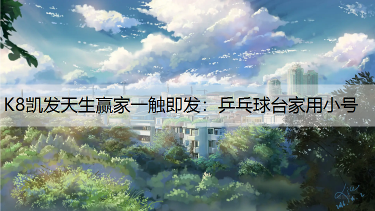 K8凯发天生赢家一触即发：乒乓球台家用小号