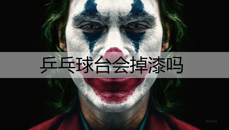 乒乓球台会掉漆吗