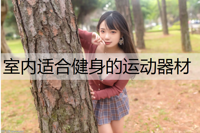 室内适合健身的运动器材
