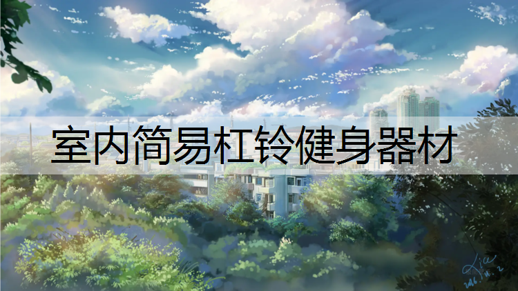 室内简易杠铃健身器材