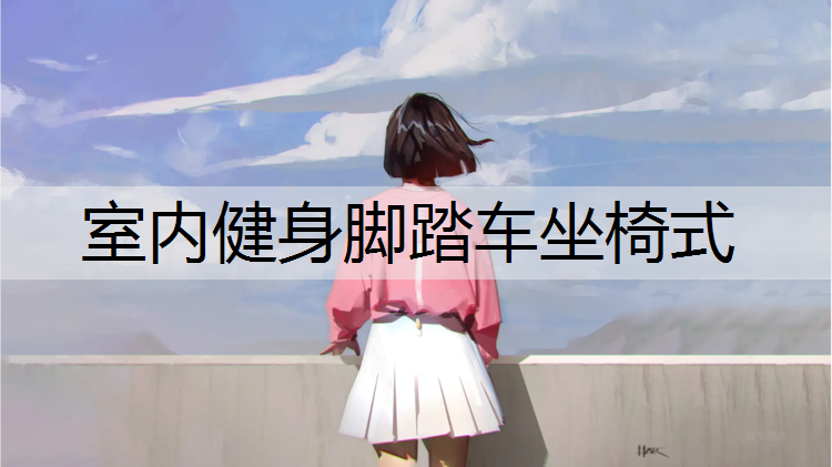室内健身脚踏车坐椅式