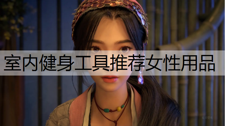 室内健身工具推荐女性用品