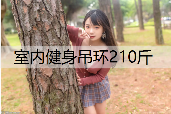 室内健身吊环210斤