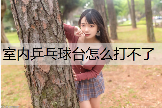 室内乒乓球台怎么打不了
