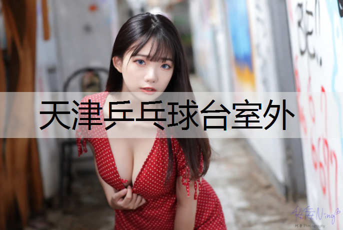 天津乒乓球台室外