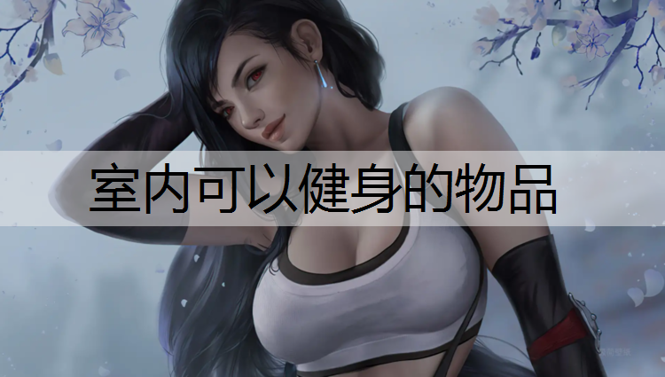 室内可以健身的物品