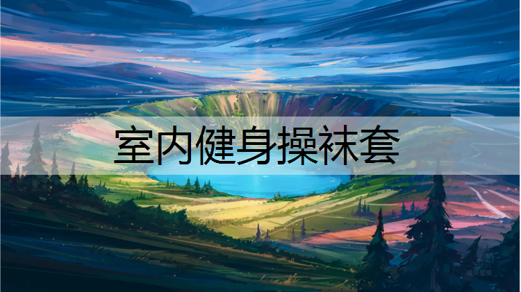 室内健身操袜套