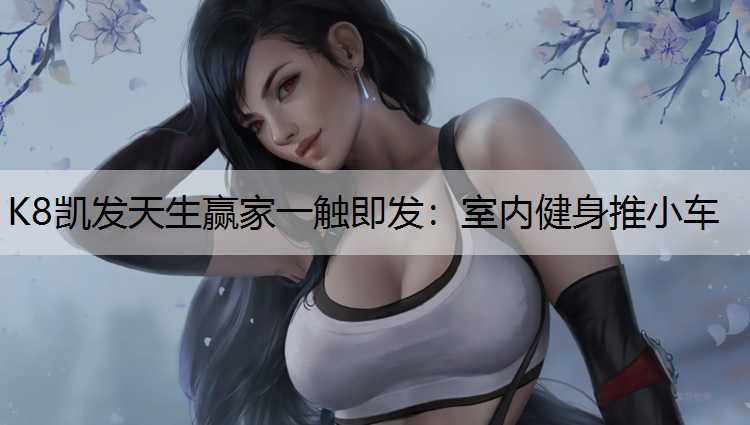 K8凯发天生赢家一触即发：室内健身推小车