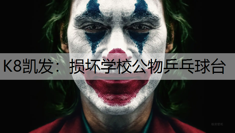 K8凯发：损坏学校公物乒乓球台