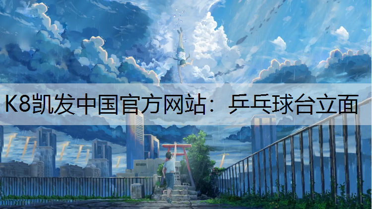 乒乓球台立面
