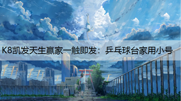 乒乓球台家用小号