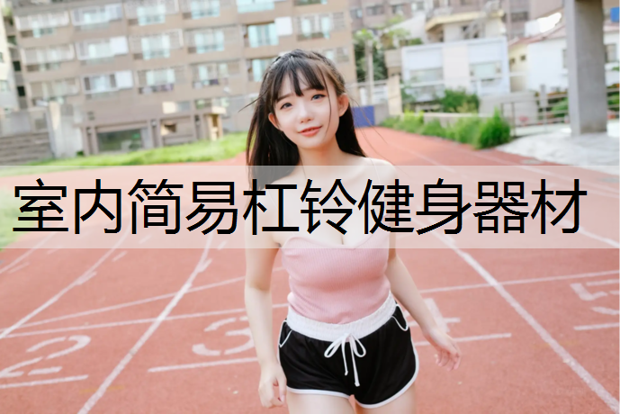室内简易杠铃健身器材