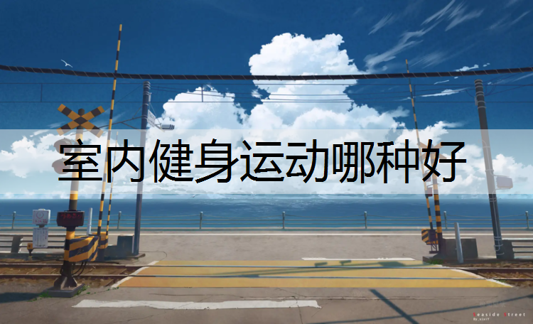 室内健身运动哪种好