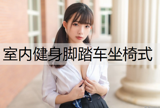 室内健身脚踏车坐椅式