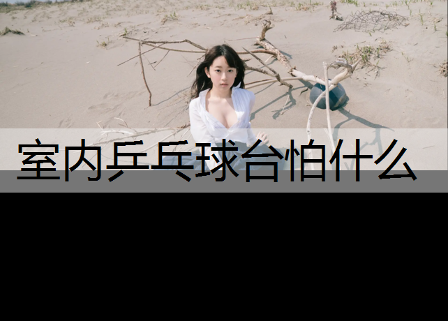 室内乒乓球台怕什么