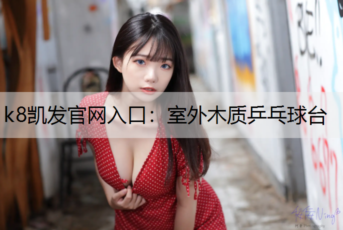 室外木质乒乓球台