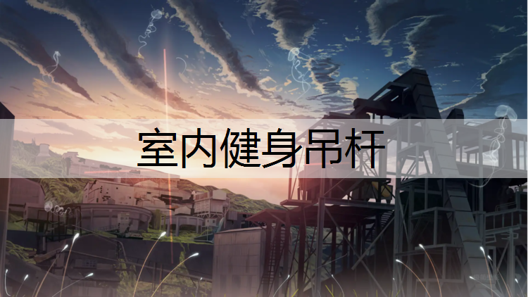 室内健身吊杆